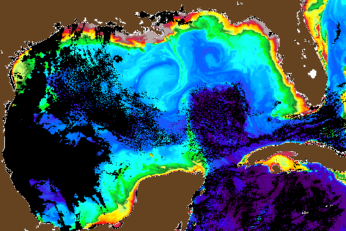 This high-quality image captured by PACE reveals eddies, the Loop Current, river plumes, and coastal circulation in the Gulf of Mexico. Photo Credit: The Optical Oceanography Lab