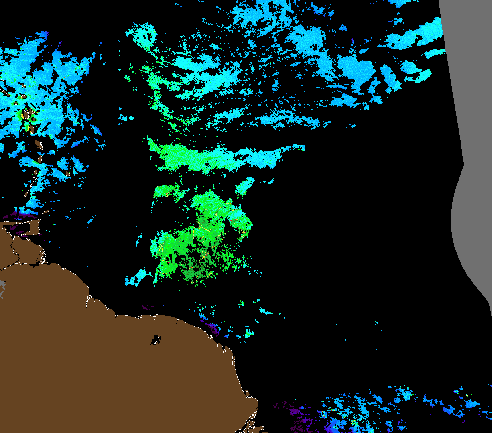 PACE captured this floating algae index image around the Lesser Antilles on April 16, 2024. The elongated and swirled features represent Sargassum mats and rafts. PHOTO CREDIT: The Optical Oceanography Lab.