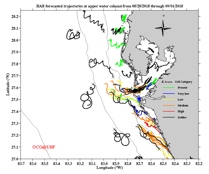 Forecast from the USF Ocean Circulation Group. Trajectories (starting at x’s) show the path of water particles over the next 3.5 days. Colored trajectories are for actual red tide samples taken at those locations.