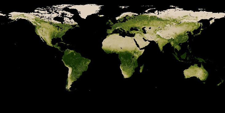 NASA scientists use satellites to map the vegetation index, which is the "greenness" of all of the land on Earth. Dark green areas indicate a lot of green leaf growth; light greens show where there was some green leaf growth; and tan areas show little or no growth. Black means no data. Credit: NASA