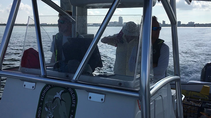 Researchers from FWC’s Fish and Wildlife Research Institute, Matt Garrett (right) and Eric Muhlbach (left), along with Steve Butcher (center, background) from the CMS Ocean Technology Group, get an early start from Clearwater Beach to deploy a glider that will autonomously record and transmit water quality parameters related to red tide.