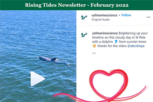 Rising Tides February 2022 | USF College of Marine Science