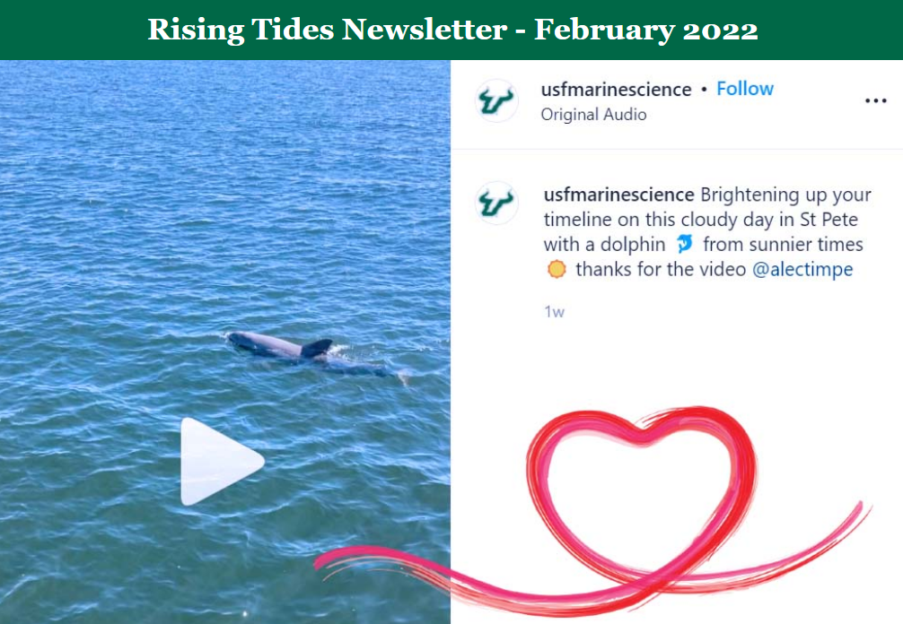 Rising Tides February 2022 | USF College of Marine Science