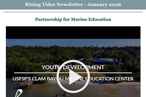 Rising Tides January 2026 | USF College of Marine Science