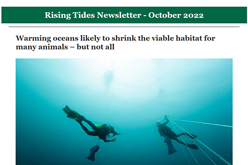 Rising Tides October 2022 | USF College of Marine Science