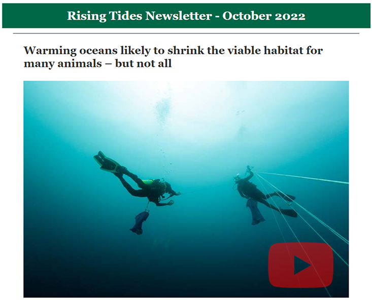 Rising Tides October 2022 | USF College of Marine Science