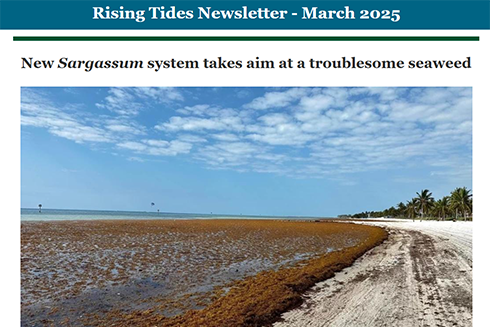 Rising Tides March 2025 | USF College of Marine Science