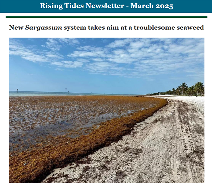 Rising Tides March 2025 | USF College of Marine Science