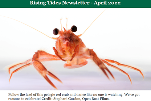 View some of the highlights in the Rising Tides Newsletter, April 2022 edition.