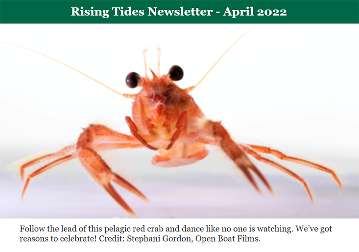 View some of the highlights in the Rising Tides Newsletter, April 2022 edition.