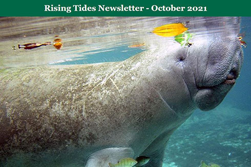 Rising Tides Newsletter, October 2021