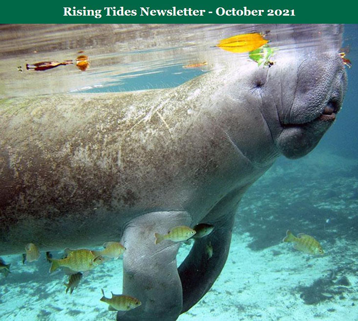  Rising Tides Newsletter, October 2021