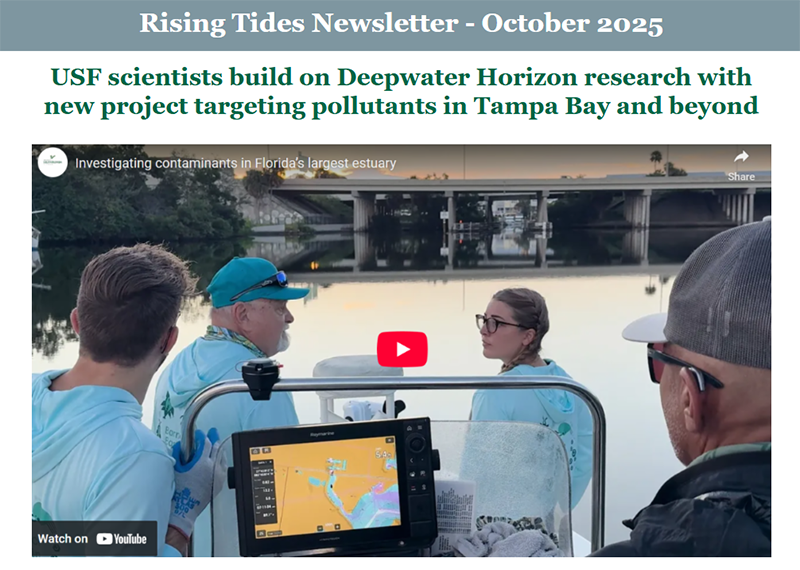 Rising Tides - October 2025