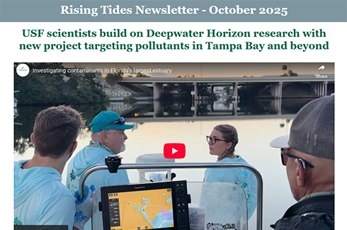 Rising Tides - October 2025
