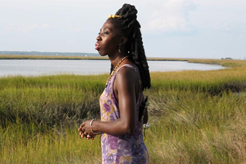 African Descendants Have Stake in Saving U.S. Southeast Salt Marshes