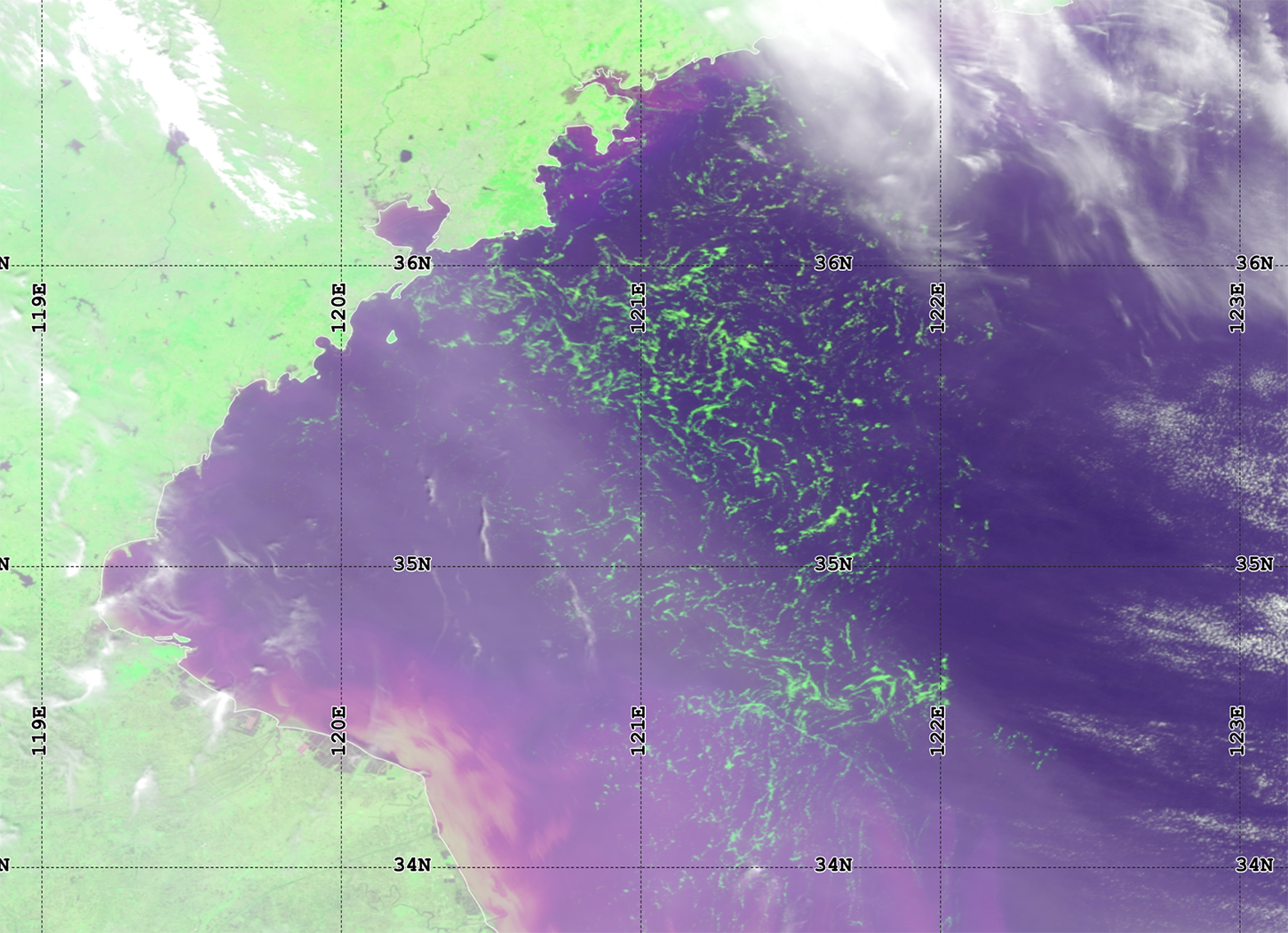 This satellite image of the Yellow Sea depicts blooms of Ulva macroalgae. Authors of the new study used artificial intelligence to analyze 1.2 million satellite images. Credit: NOAA Star.