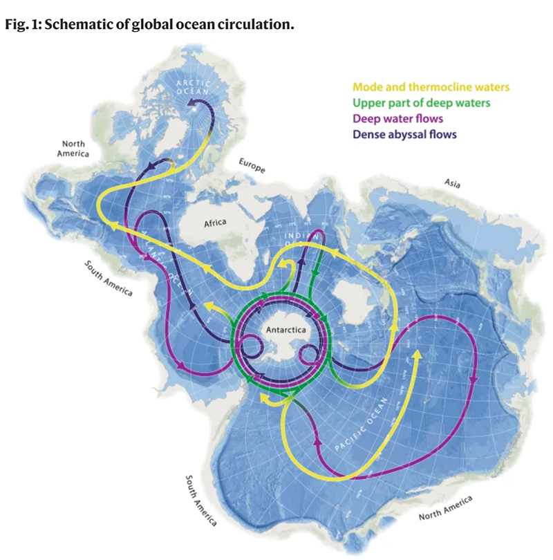 The centrality of the Southern Ocean to the planetary-scale circulation is clear when viewed on a Spilhaus projection. It is the most prominent site globally where deep waters (purple) rise to the surface, exchange heat and carbon with the atmosphere, and then sink back to the ocean interior. The densest waters formed (black) can store carbon in the abyss for centuries or longer. This contrasts with injection into shallower layers (yellow), from which the carbon can be returned to the surface on much shorter timescales.