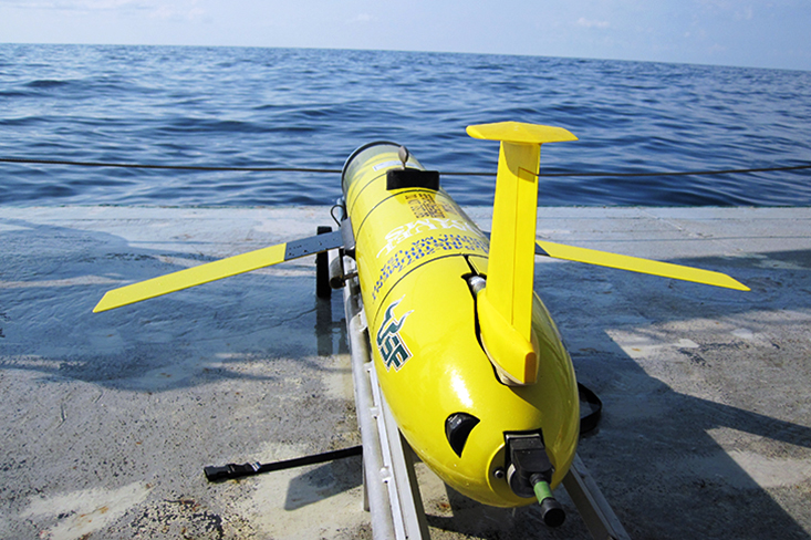 Scientists at the USF College of Marine Science deployed a glider into the epicenter region for red tides from August 24 – September 17, 2018. It measured different water properties that are proxies for red tide and helped them confirm several long-held theories about how red tides evolve. 