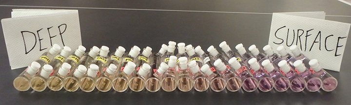 eawater samples taken by the Byrne lab group during a 2016 west coast ocean acidification cruise. Samples are dyed with a pH-sensitive indicator and inserted into a spectrophotometer, which measures the pH based on the absorbance of light. The difference in color from the surface samples to deep samples reflects a difference in pH. Photo courtesy of Jonathan Sharp.