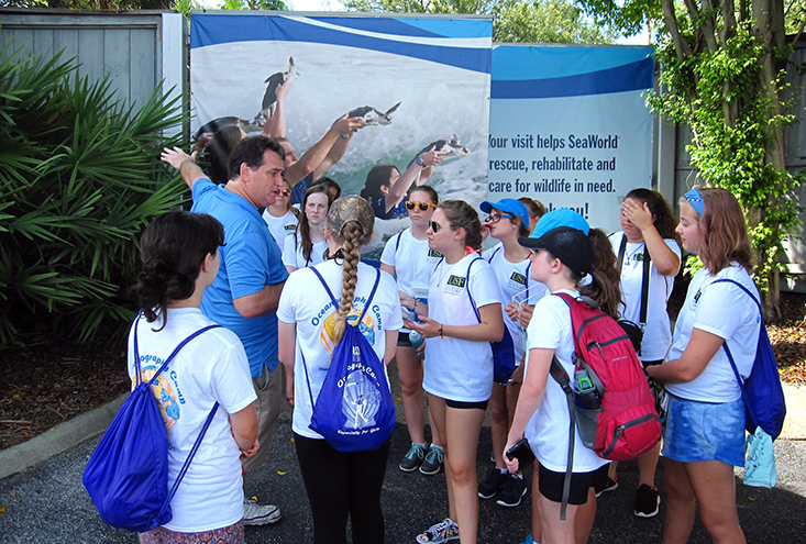 Behind the scenes tour of the SeaWorld rescue operations.