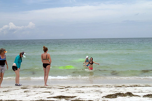 OCG girls camp visited Caladesi Island