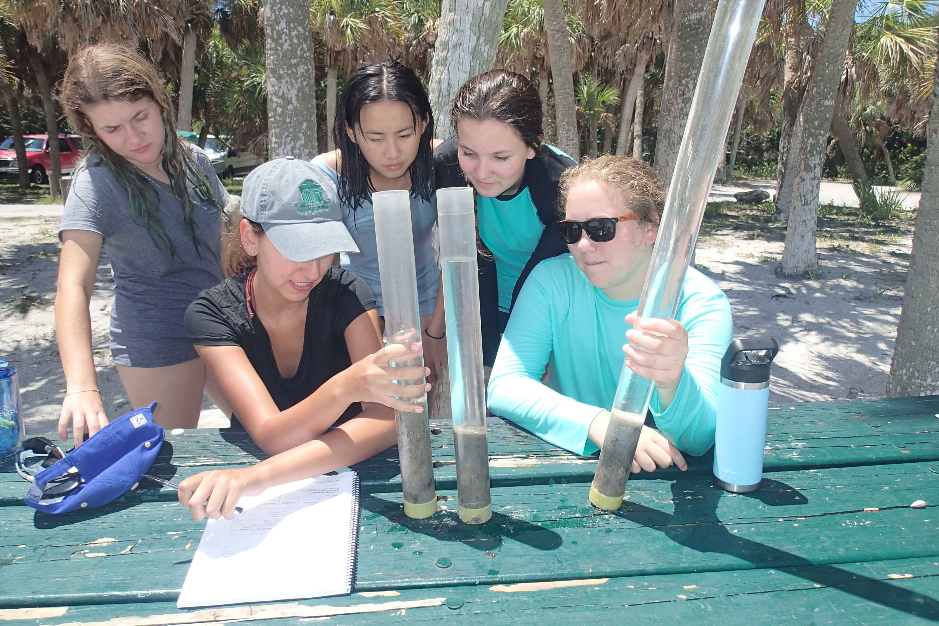 Sediment coring samples