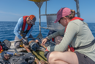 Mitch Lemon and Samantha D'Angelo service sensors on a buoy.