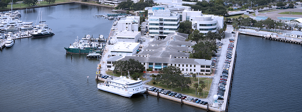 Sixteen College of Marine Science Faculty were recognized for their career and single year citation records, demonstrating their impact in oceanography.
