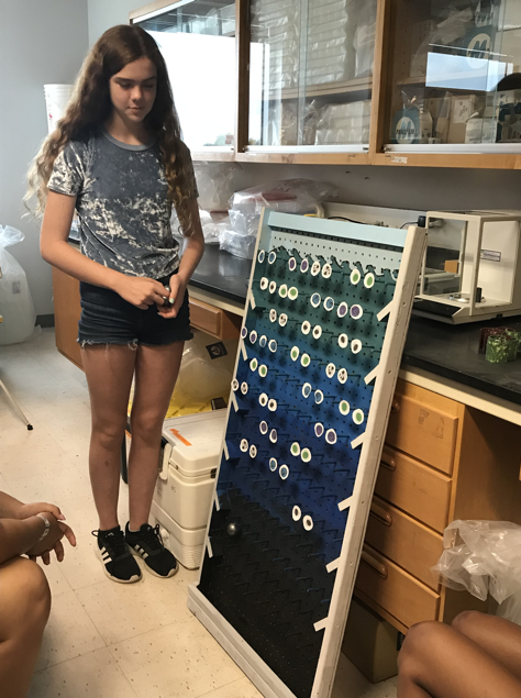 Sophia acting as an Fe source (dust) during the siderophore demonstration. As seen in the picture, when there are no siderophores produced by bacteria, the Fe does not stay in the upper water column within reach of phytoplankton. Photo credit: Casey.