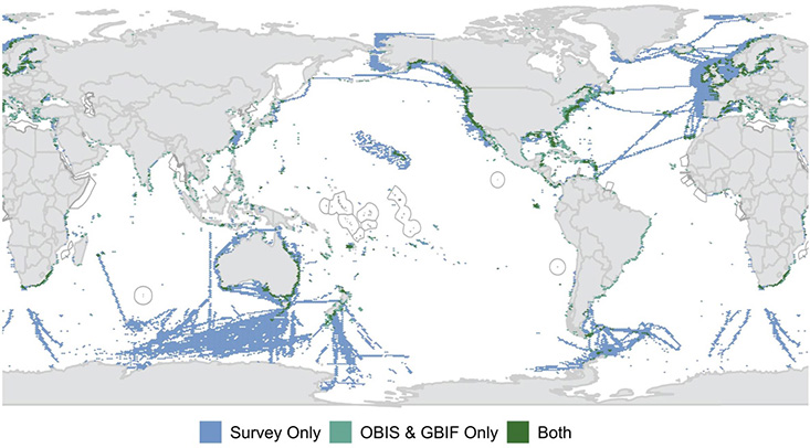 Spatial coverage of known active, long-term biological observations globally (colored regions). Color indicates biological observations identified from the survey only (blue), from datasets in the Ocean Biodiversity Information System (OBIS) and the Global Biodiversity Information System (GBIF) only (teal), and those identified in both sources (green). 