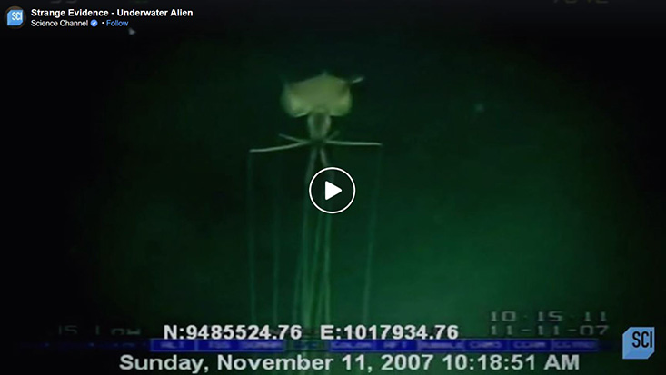 Strange Evidence - Underwater Alien