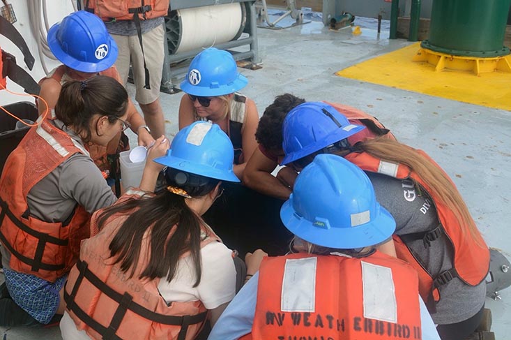 Students gather around a tub of Tucker trawl samples looking for organisms. Photo credit: Carlyn Scott