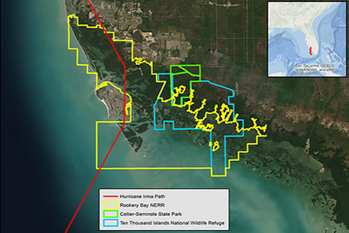 Southwest Florida, USA, showing the path of Hurricane Irma (red line in main graphic and in the inset showing the western Gulf of Mexico and the state of Florida; ArcGIS Basemap Source: ESRI). Local management jurisdiction boundaries are shown in different colors. 