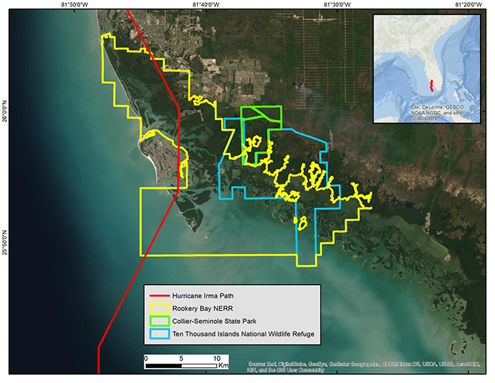 Southwest Florida, USA, showing the path of Hurricane Irma (red line in main graphic and in the inset showing the western Gulf of Mexico and the state of Florida; ArcGIS Basemap Source: ESRI). Local management jurisdiction boundaries are shown in different colors. 