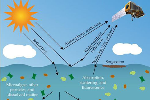 Sunlight interacts with the atmosphere, the water, particles, and dissolved matter in the water before it is captured by a satellite. In remote sensing of ocean color, the atmosphere’s contributions are corrected for, resulting in spectral surface reflectance that can be used to characterize microalgae and macroalgae both below and on the surface. (Image adapted from a diagram by Meng Qi; the Joint Polar Satellite System-1 adapted from an illustration by Ball Aerospace.)