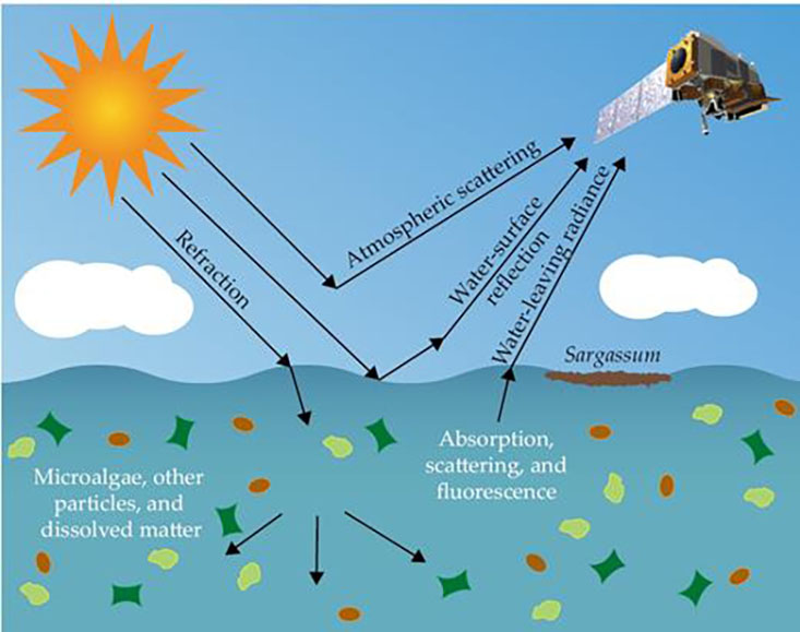Sunlight interacts with the atmosphere, the water, particles, and dissolved matter in the water before it is captured by a satellite. In remote sensing of ocean color, the atmosphere’s contributions are corrected for, resulting in spectral surface reflectance that can be used to characterize microalgae and macroalgae both below and on the surface. (Image adapted from a diagram by Meng Qi; the Joint Polar Satellite System-1 adapted from an illustration by Ball Aerospace.)