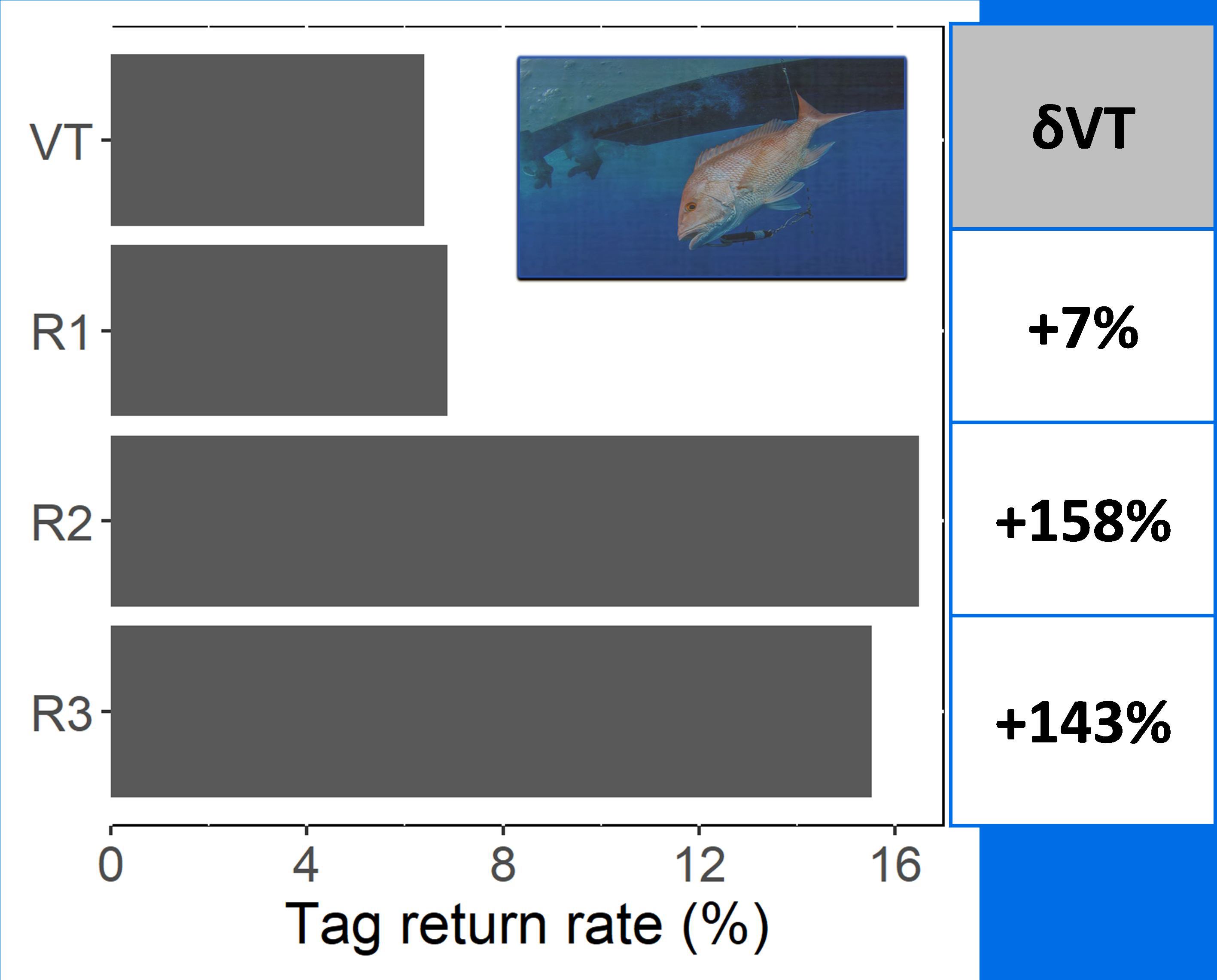 Tag return rates of red snapper across release methods for vented fish (VT), and those recompressed to 10m (R1), 20m (R2), and 30m (R3). The increase in tag returns of recompressed fish relative to vented ones is indicated in the right column.
