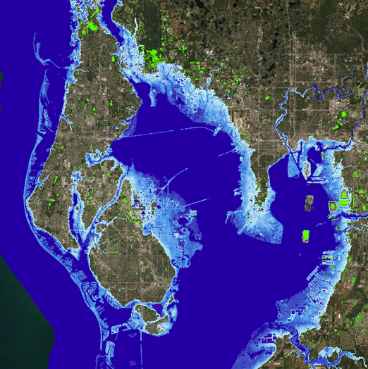 Tampa Bay region flood map if sea level were to rise 3 meters (NOAA Office for Coastal Management). Explore how your neighborhood may be impacted by using this app! 