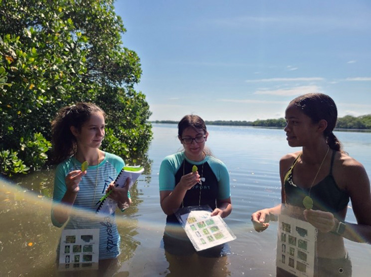 Campers Sara, Madison, and Jaleyah discuss the taste of the black mangrove leaf after licking one. The looks on their faces say it all! (Photo credit: Lisa Rose-Mann)