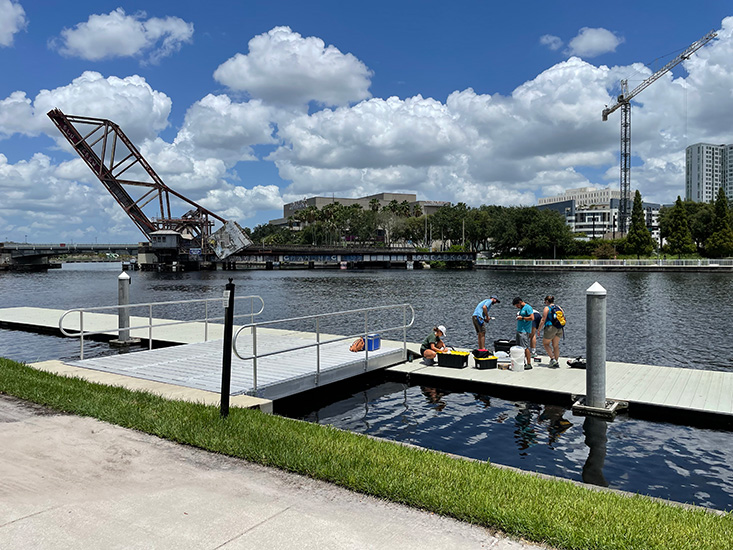 Graduate students Hannah Hunt (USF), Dylan Halbeisen (USF), Ilana Farrell (OSU) work with Dr. Salvo Caprara (USF) and Dr. Joe Tamborski (ODU) to sample the Hillsborough River. The team is collecting dissolved metals and organic matter and measuring the salinity, temperature and pH of the river. Credit: Tim Conway, USF