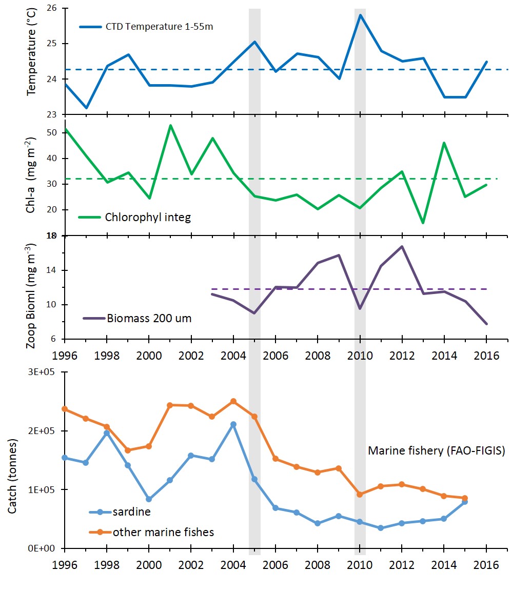 The CARIACO science team documented relationships between the physical, chemical, geological, and biological characteristics of the ocean. In 2005, upwelling decreased, as indicated by the warmer water temperature (shown on top in blue). Phytoplankton, indicated by the chlorophyll graph in green, then decreased and the sardine population (bottom graph) crashed. Without predators, the zooplankton population (shown in purple) increased. As a combined result of the decreased upwelling and strong fishing pressure, nearly 75 percent of the fishing industry collapsed in 2005. Upwelling also decreased in 2010.