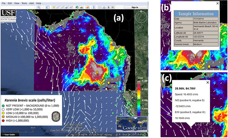 The Integrated Red Tide Information System pulls together a number of tools including satellite imagery, ocean circulation models, and water sampling data.