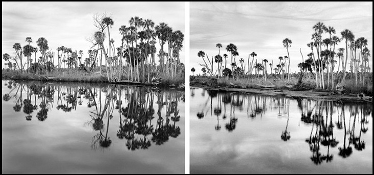 Credit and Copyright: Benjamin Dimmitt