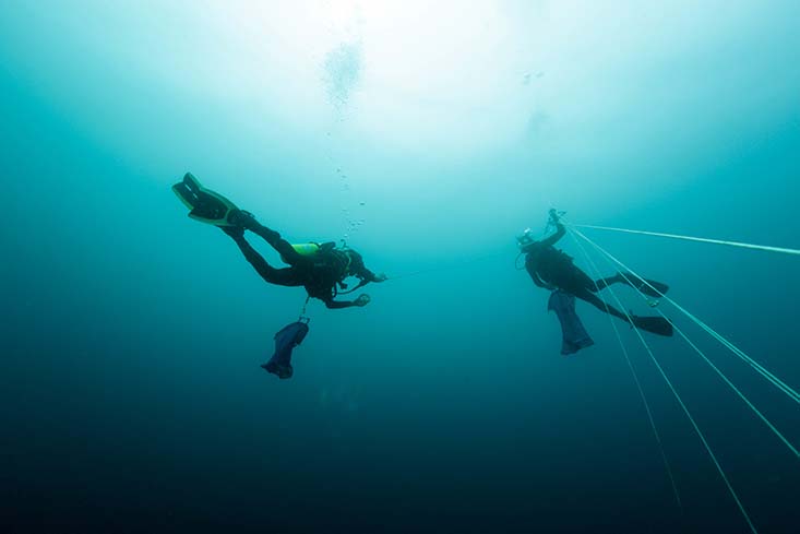 This study is the culmination of 20 years of research by Brad Seibel on vertical migrators that has included scores of dives like this one. Credit: Stephani Gordon, Open Boat Films.