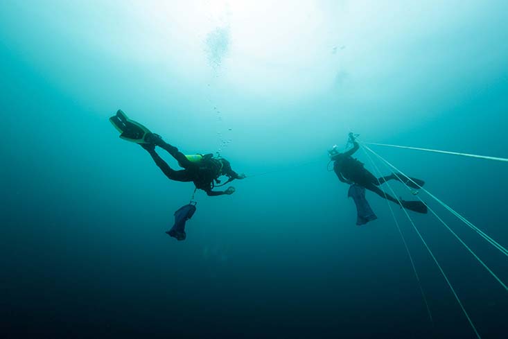 This study is the culmination of 20 years of research by Brad Seibel on vertical migrators that has included scores of dives like this one. Credit: Stephani Gordon, Open Boat Films.