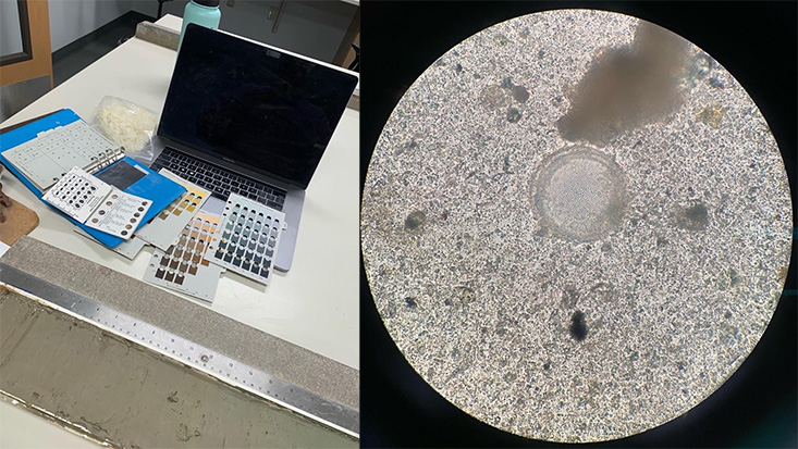 Tools we can use at the core repository before sampling. On the left was my typical core description station: a color chart and a grain size chart. On the right is a smear slide sample under the microscope with a large, centric diatom in the middle! 