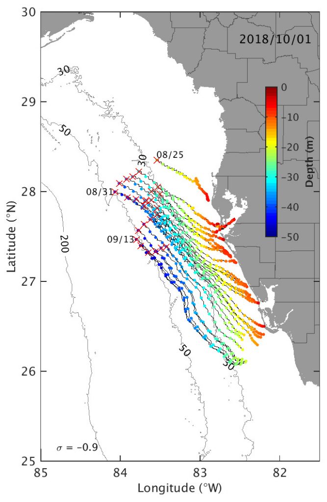 Trajectories for water particles initialized along the glider track from 24 August 2018 to 17 September 2018. The modeled trajectories begin with water particles (including K. brevis cells), marked with an “X,” near the bottom. The daily color-coding shows their actual depth as they travel towards the coast where they manifested as a red tide.