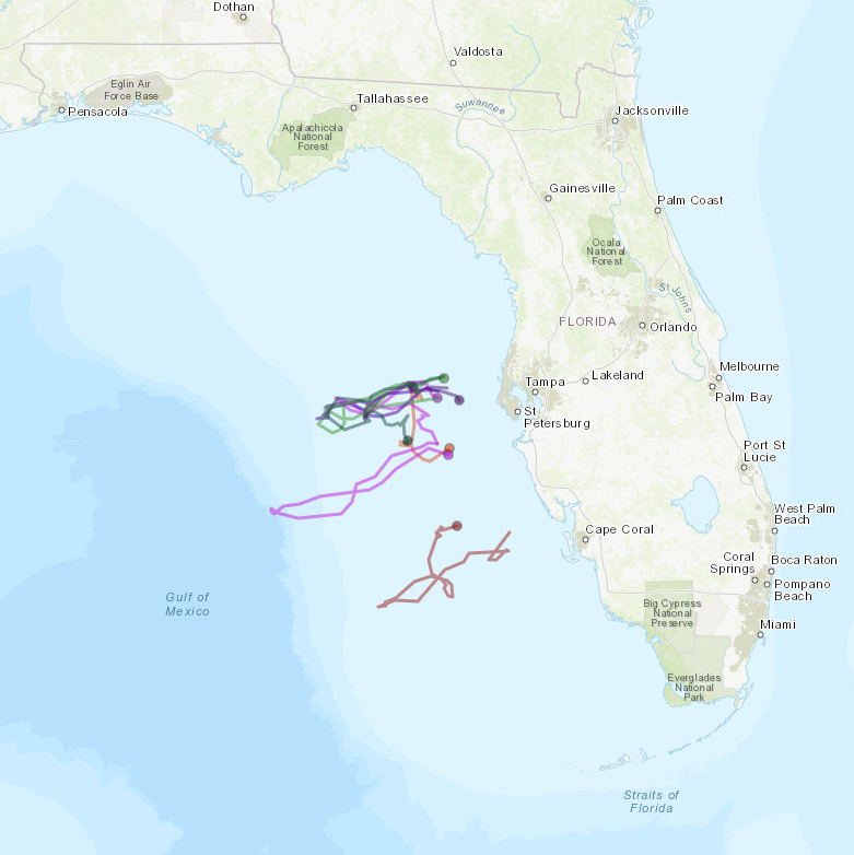 2022 was a banner year for the College of Marine Science’s glider fleet, and NOAA’s funding will help support another active season. This map depicts last year’s deployments in the Gulf of Mexico. 