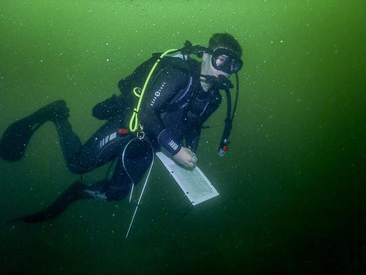 USF CMS graduate student Jon Peake on a research dive.