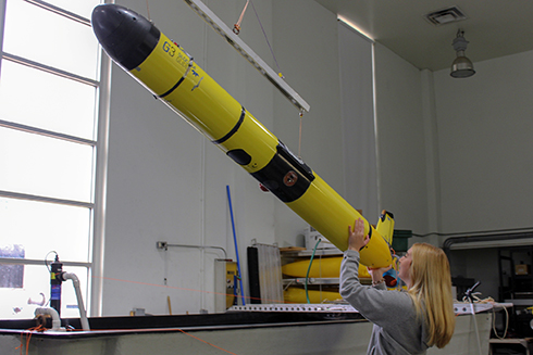 Florida High Tech Corridor interns spent a semester at the College of Marine Science conducting research.
